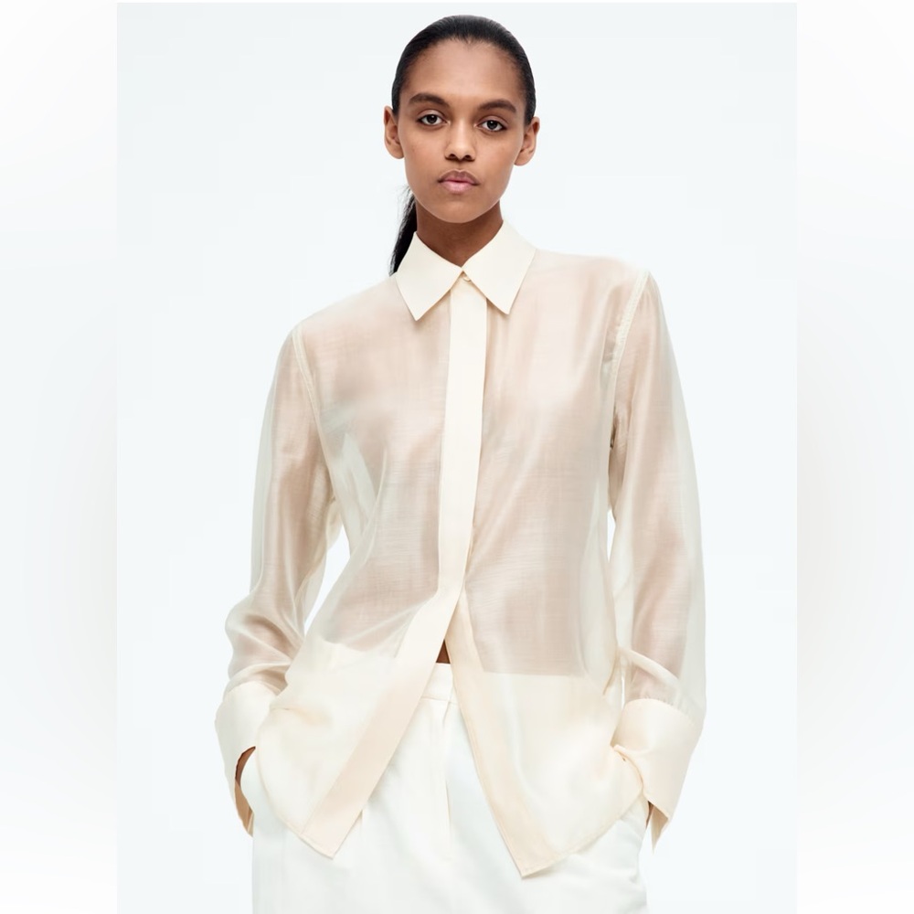 H&M Button Down Sheer Shirt - Picture 5 of 9